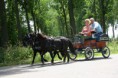 /album/menrit-04-06-2011/a06-04-2011-39-jpg/